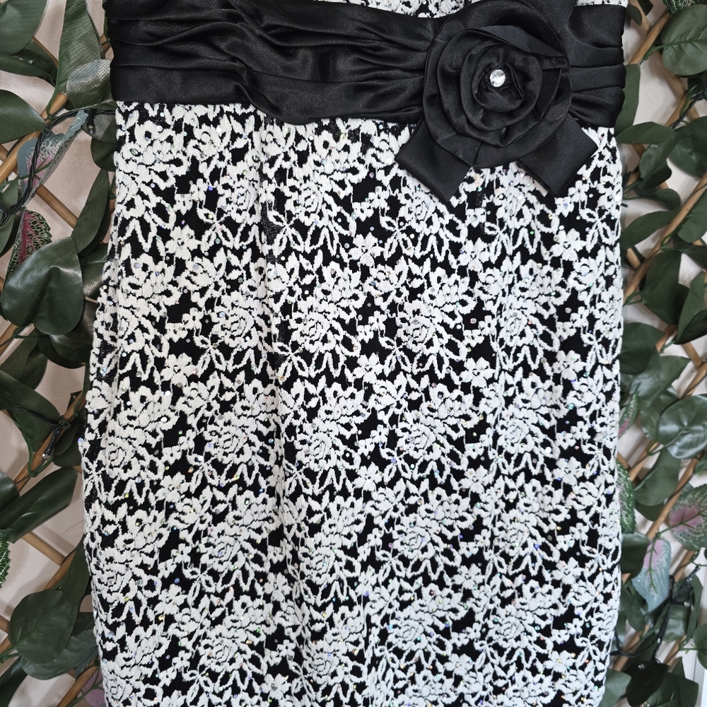 49) R&M RICHARDS Lace Dress Sz. 8 - Picture 4 of 10